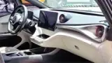 BYD Dolphin - Miniatura 10