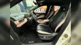 BYD Dolphin Mini - Miniatura 10