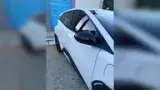BYD Dolphin - Miniatura 6