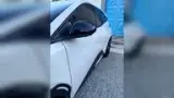 BYD Dolphin - Miniatura 7