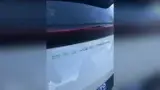 BYD Dolphin - Miniatura 15