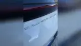 BYD Dolphin - Miniatura 16