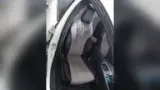 BYD Dolphin - Miniatura 4
