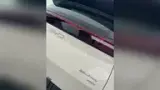 BYD Dolphin Mini - Miniatura 3