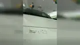 BYD Dolphin Mini - Miniatura 4