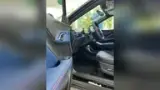 BYD Dolphin Mini - Miniatura 9