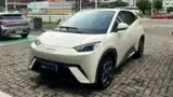 BYD Dolphin Mini - Miniatura 1