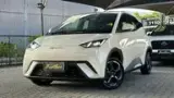BYD Dolphin Mini - Miniatura 2