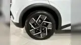 BYD Yuan Plus - Miniatura 18