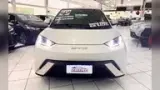 BYD Dolphin Mini - Miniatura 3
