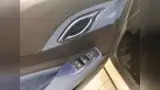 BYD Dolphin Mini - Miniatura 9