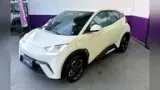 BYD Dolphin Mini - Miniatura 2