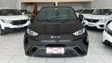 BYD Dolphin Mini - Miniatura 1