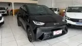 BYD Dolphin Mini - Miniatura 2