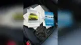 BYD Dolphin Mini - Miniatura 10