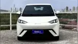 BYD Dolphin Mini - Miniatura 3