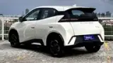 BYD Dolphin Mini - Miniatura 4