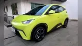 BYD Dolphin Mini - Miniatura 1