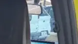 BYD Dolphin Mini - Miniatura 14