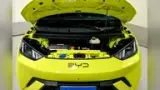 BYD Dolphin Mini - Miniatura 6