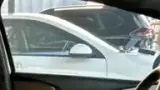 BYD Dolphin - Miniatura 9