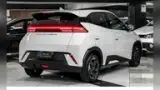 BYD Dolphin Plus - Miniatura 4