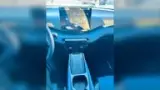 BYD Dolphin Mini - Miniatura 8