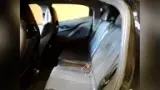 BYD Dolphin Mini - Miniatura 8
