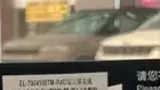 BYD Dolphin Mini - Miniatura 16