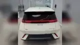 BYD Dolphin Mini - Miniatura 8