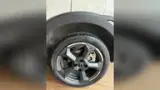 BYD Dolphin Mini - Miniatura 9