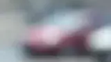 BYD Dolphin Mini - Miniatura 12