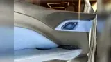 BYD Dolphin Mini - Miniatura 14