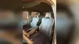 BYD Dolphin Mini - Miniatura 19