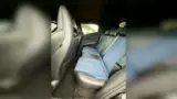BYD Dolphin Mini - Miniatura 12