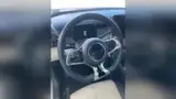 BYD Yuan Plus - Miniatura 6