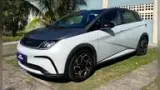 BYD Dolphin Plus - Miniatura 1