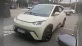 BYD Dolphin Mini - Miniatura 1