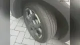 BYD Dolphin Mini - Miniatura 8