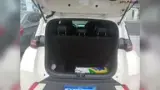 BYD Dolphin Mini - Miniatura 9