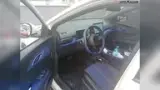 BYD Dolphin Mini - Miniatura 11