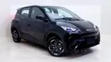 BYD Dolphin Mini - Miniatura 1