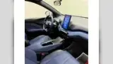 BYD Dolphin Plus - Miniatura 9