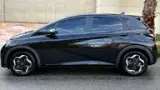 BYD Dolphin - Miniatura 8