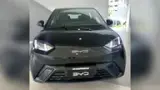 BYD Dolphin Mini - Miniatura 1
