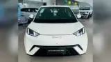 BYD Dolphin Mini - Miniatura 1