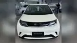 BYD Dolphin - Miniatura 1