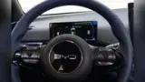 BYD Dolphin Mini - Miniatura 10