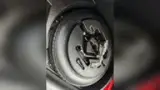 BYD Dolphin - Miniatura 15