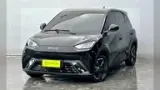 BYD Dolphin - Miniatura 1